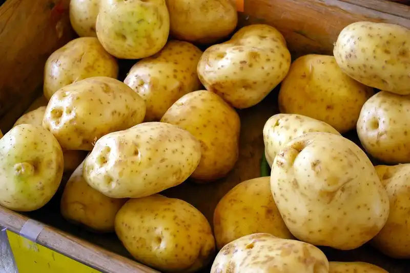 how to choose the right potatoes 1658349599 9470