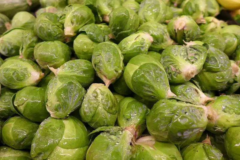 how to pick the right brussels sprouts 1656055119 5232