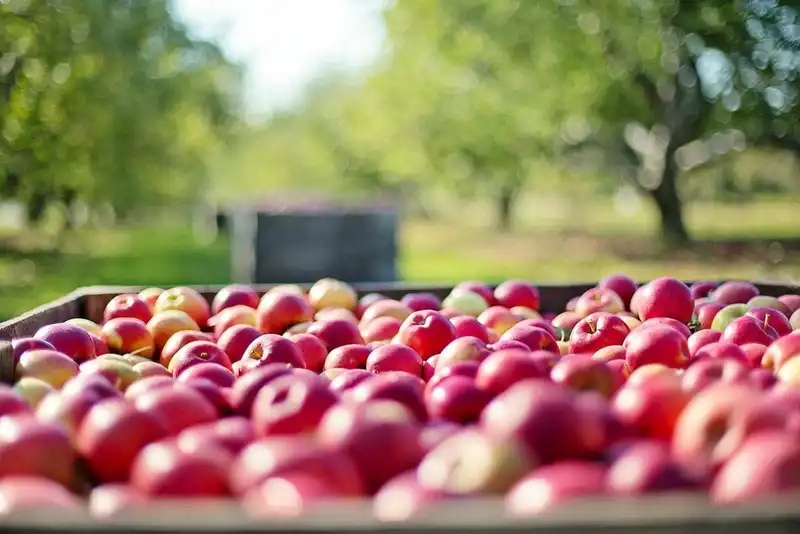 ingredients for your classic apple pie 1652890333 1734