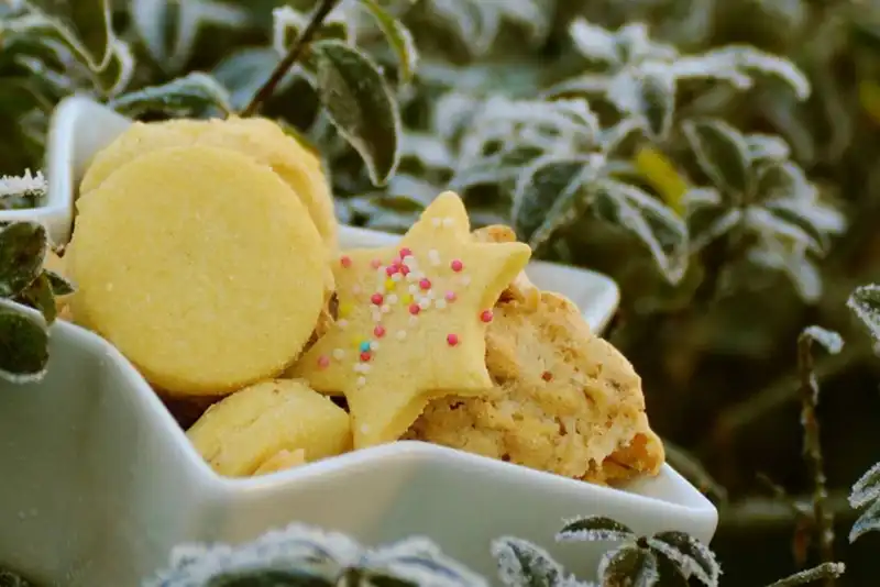 sugar cookie recipe no 4 soft sugar cookies 1654176184 6712